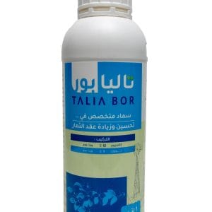 TALIA BOR