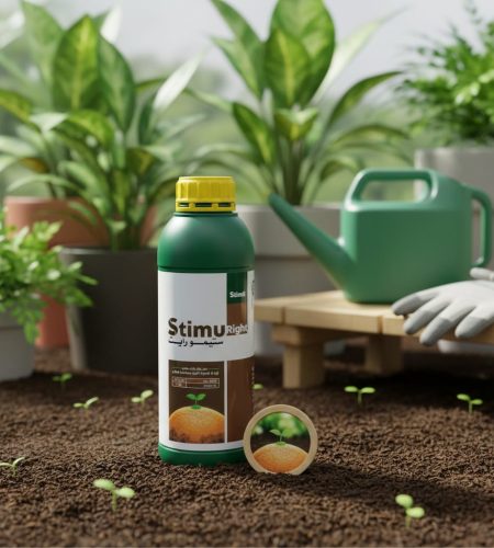 Gemini_Generated_Image_mcjnbzmcjnbzmcjn